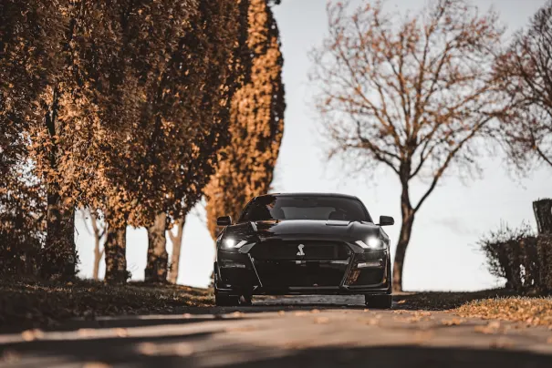 Fbet Casino App Android/iOS